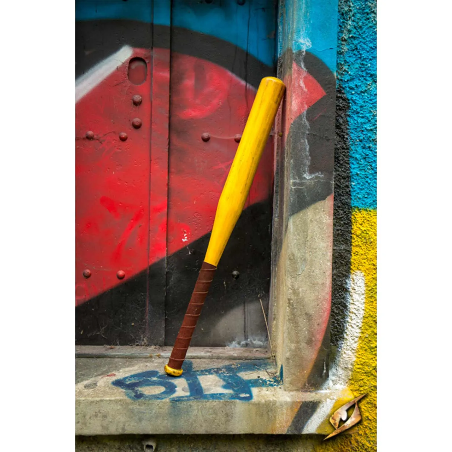 Baseball Bat