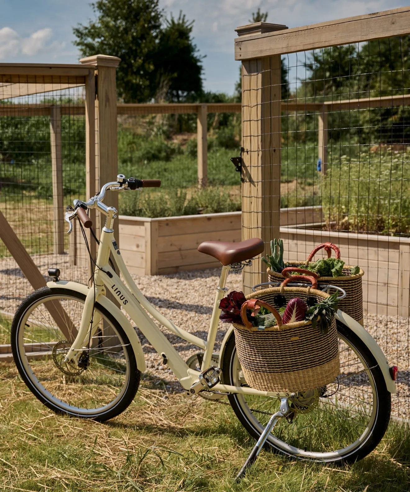 eDutchi Electric Bike