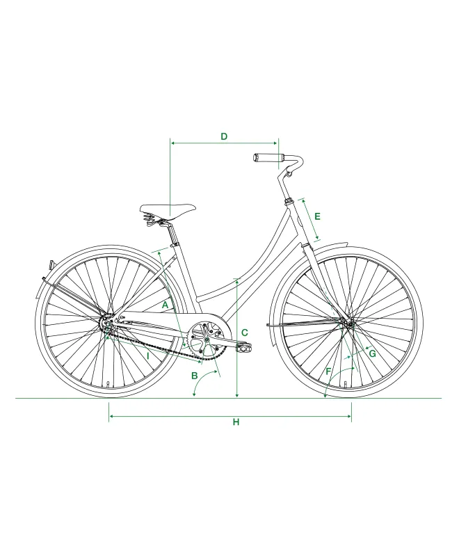 eDutchi Electric Bike